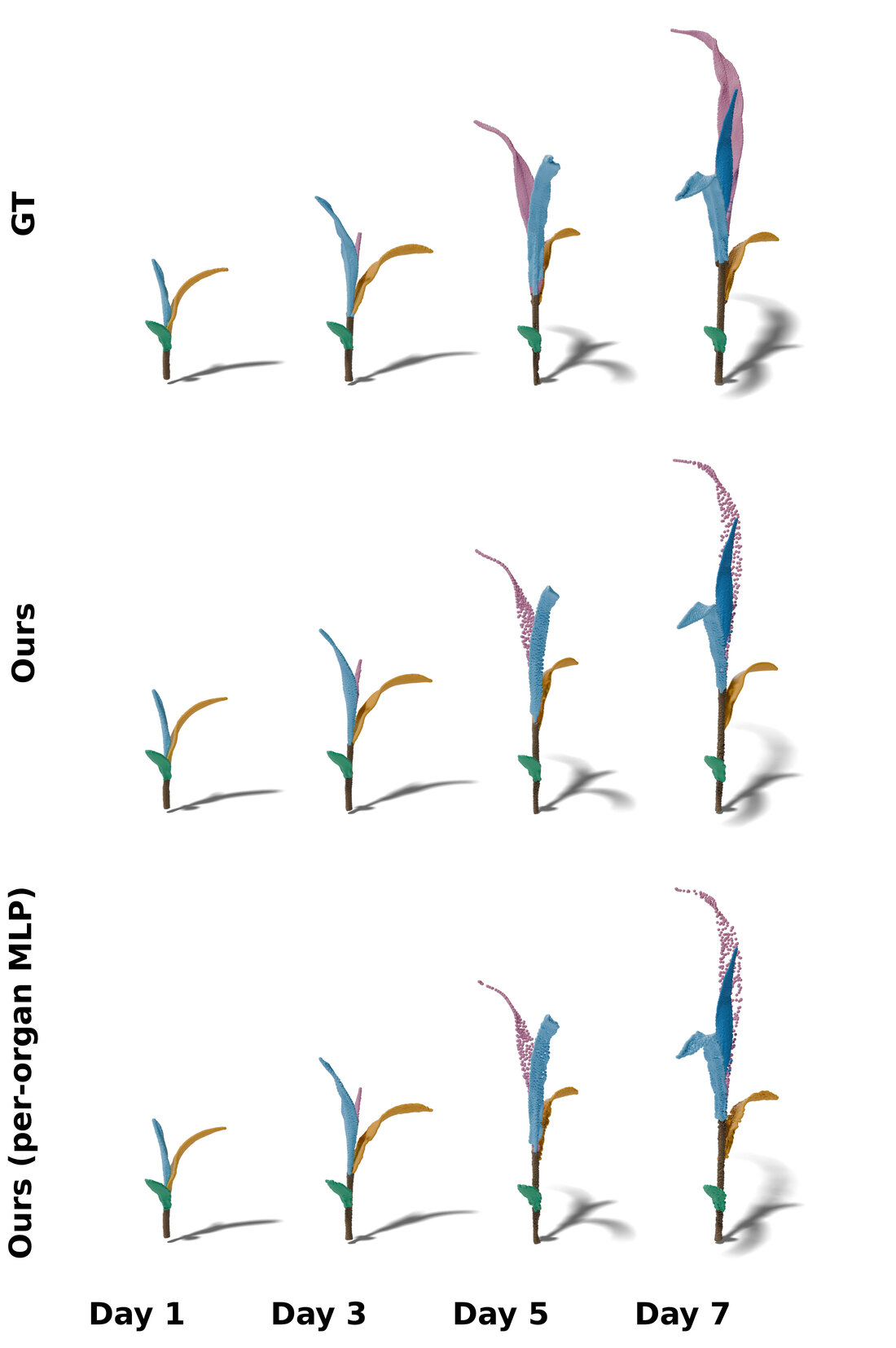 Qualitative full-plant reconstruction: ground truth, GrowFields (full), and per-organ MLP variant across days 1 to 7.