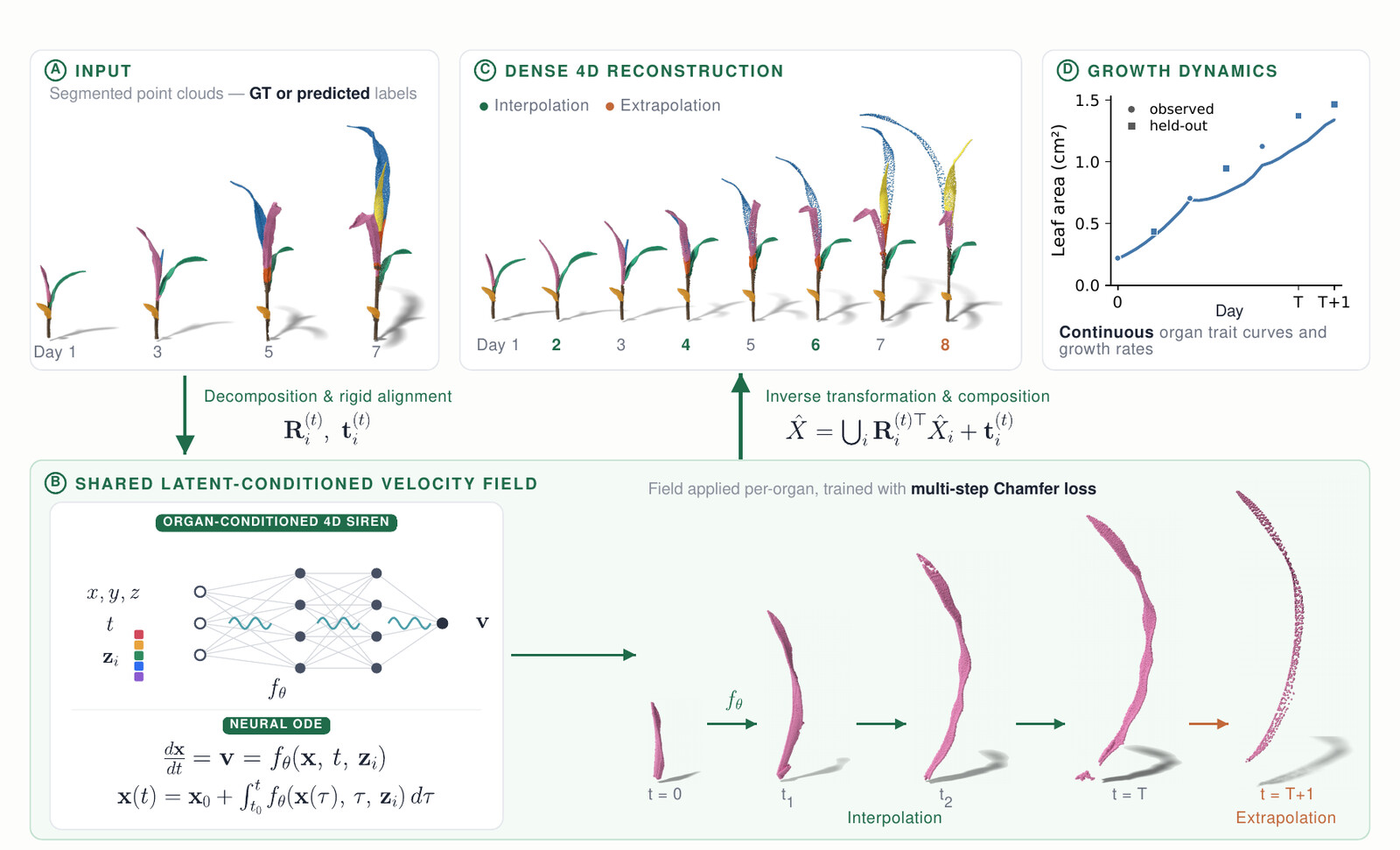 Overview of GrowFields: segmented point clouds are decomposed into organs, aligned to canonical frames, evolved by a shared latent-conditioned neural velocity field, and recomposed into a dense 4D plant reconstruction.